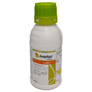 Buy Ampligo (Chlorantraniliprole 9.3%+ Lambda-Cyhalothrin 4.6% ZC) Online - Agritell.com