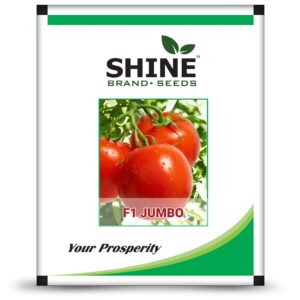 Buy F1 Tomato - Jumbo Online - Agritell.com